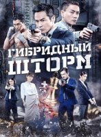 Гибридный шторм (2025)