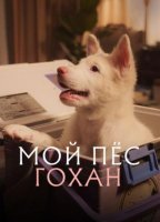 Мой пёс Гохан (2026)